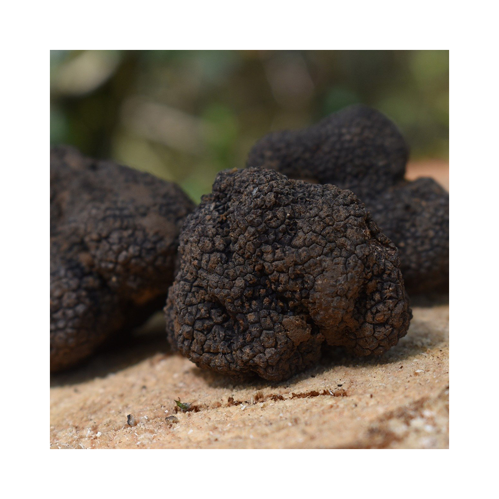 La Truffe Noire Fraîche