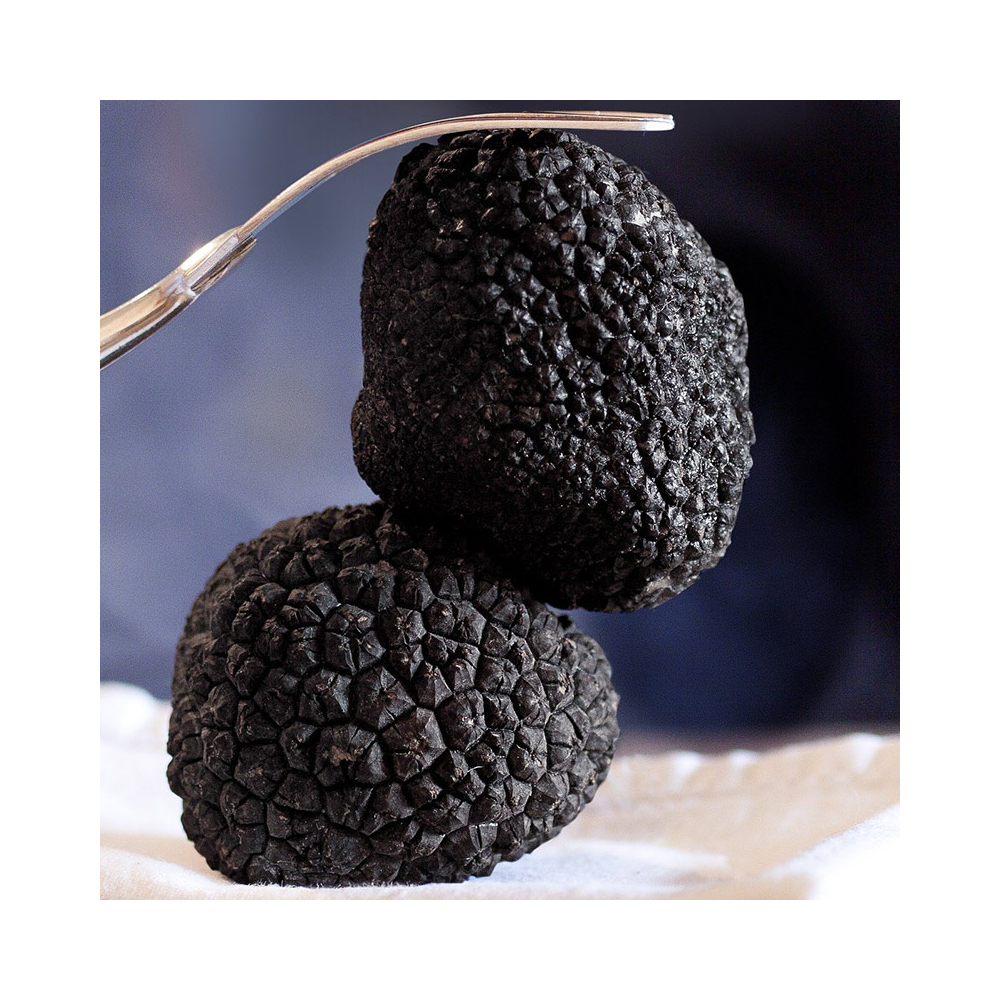 Les Truffes Noires du Périgord Brossées 1er choix 1ere cuisson